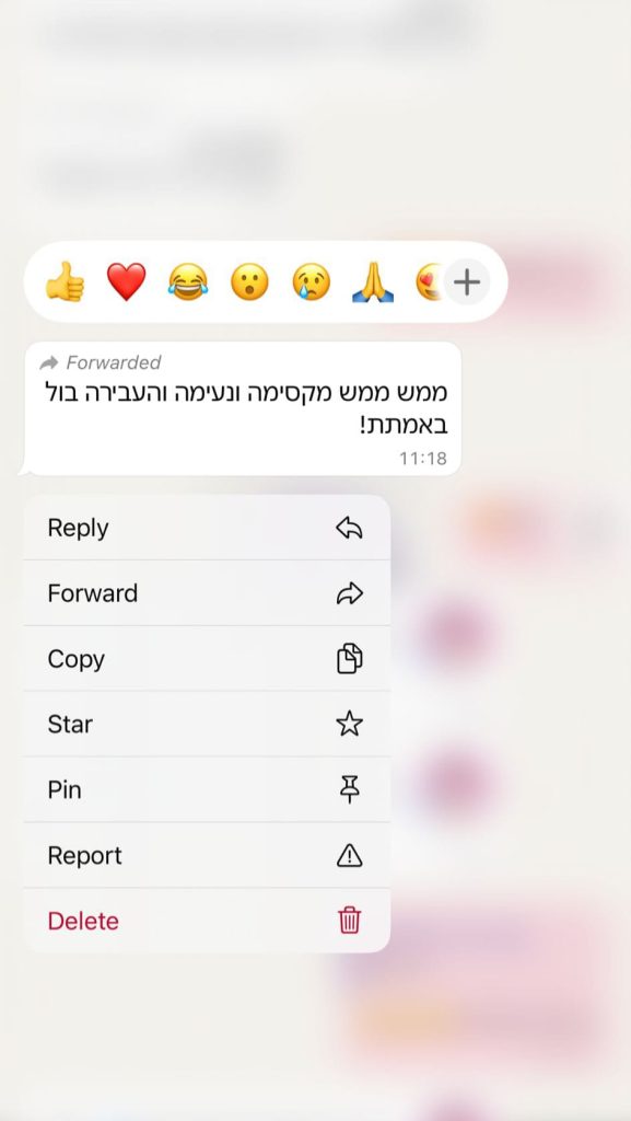 המלצה 1