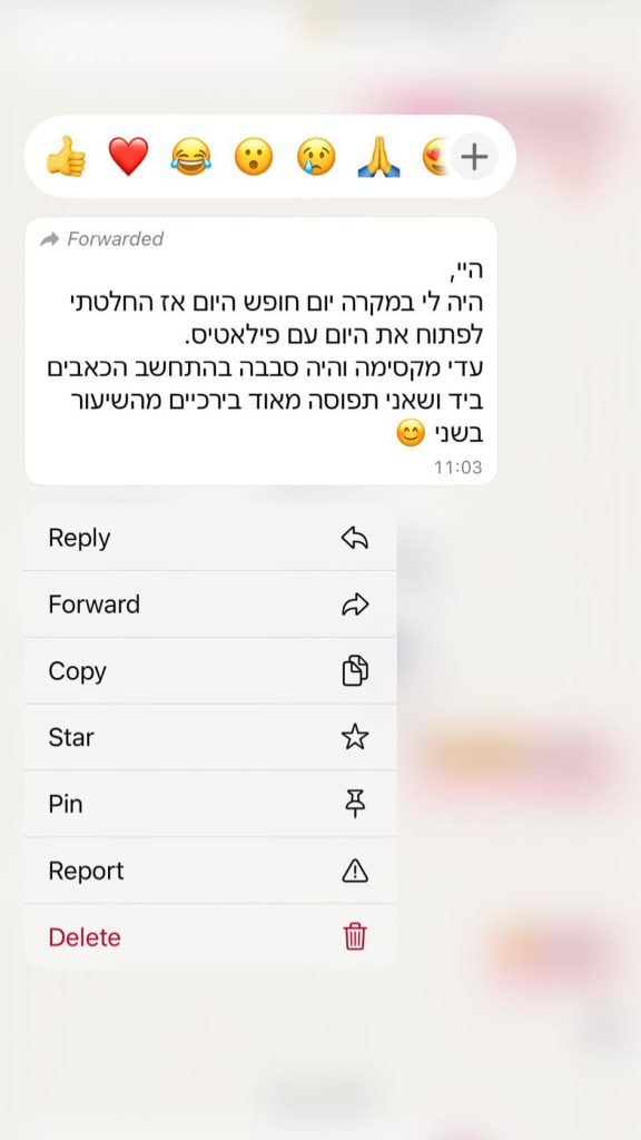 המלצה 2