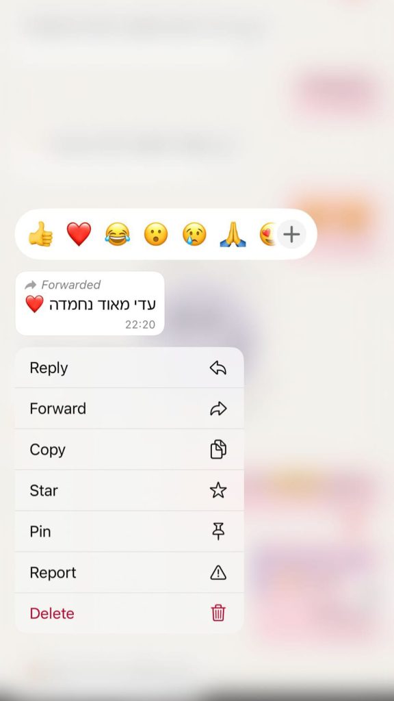 המלצה 3
